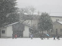 下校の時間帯も空から雪が吹きかけていました。