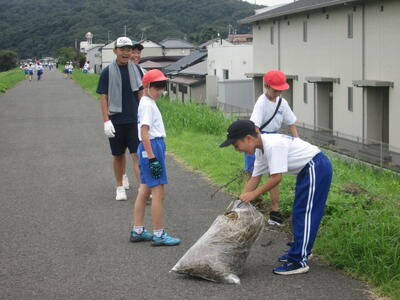 わっ、袋が破けちゃった