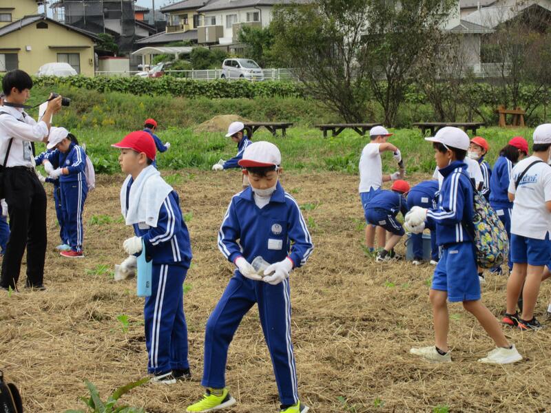 少しずつ丁寧にまいてます