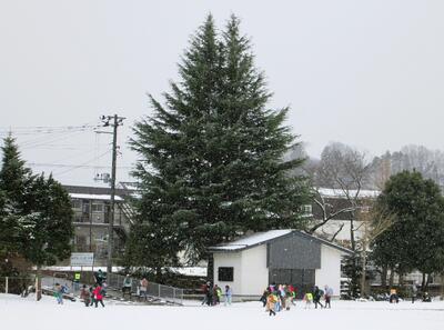 雪景色の中を下校していきました