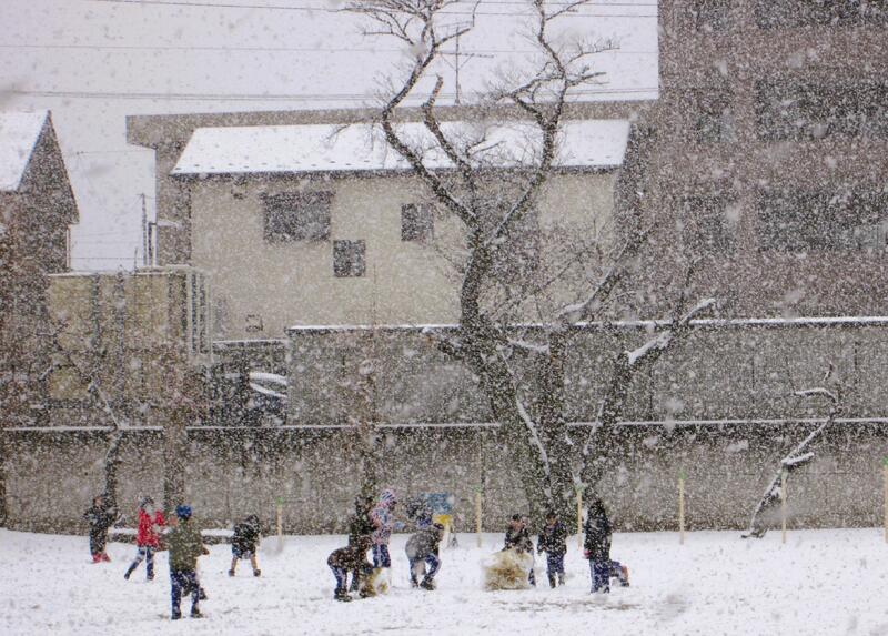 雪がどんどん降ってきました