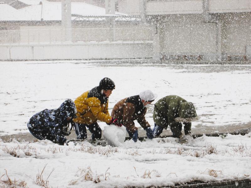 「また積もってる」「雪だ雪だ」