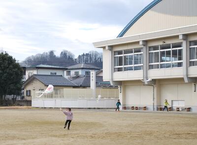 高く上げようと一生懸命です