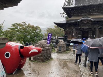 圓蔵寺さまにお参りをしました。赤べこにも会えました。