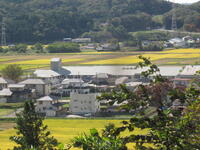 松川小学校も小さく見えました。