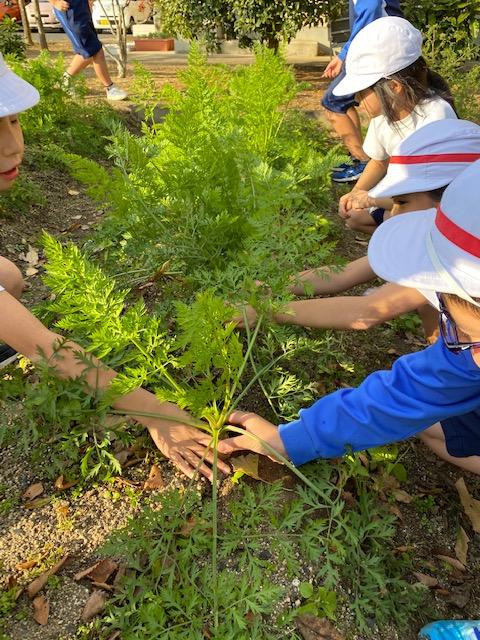 下川崎小学校 - 福島市立小・中・特別支援学校ポータル