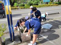 皆で花壇の草むしりを…